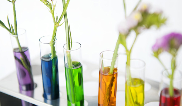 煙臺億鑫精細化工有限公司網(wǎng)站全新改版